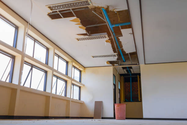 Best Water damage restoration process  in Colchester, IL