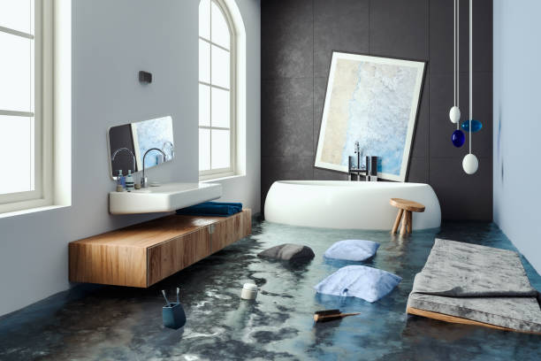 Best Flood restoration services  in Colchester, IL