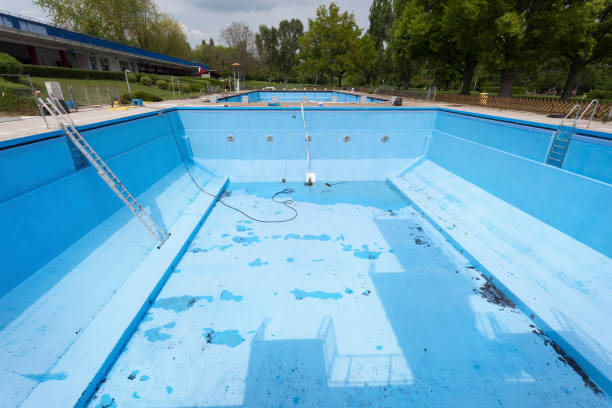 Best Flooded house restoration  in Colchester, IL