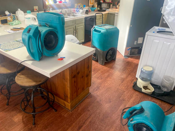 Best Sewage cleanup and water damage restoration  in Colchester, IL