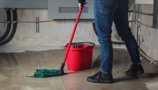 Water damage restoration process in Colchester, IL