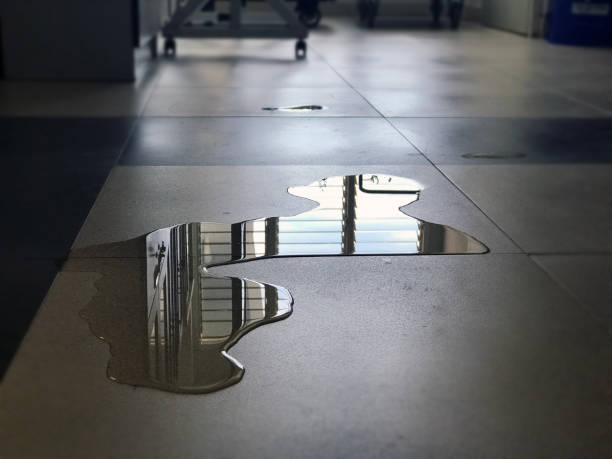 Best Water damage restoration services  in Colchester, IL