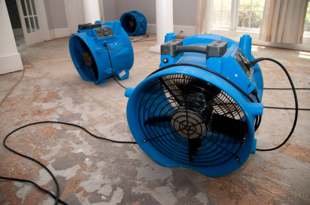 Best Flooded house restoration  in Colchester, IL