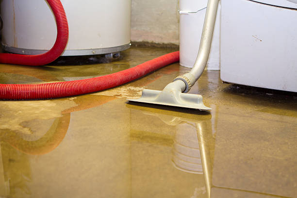 Best Local water damage restoration  in Colchester, IL