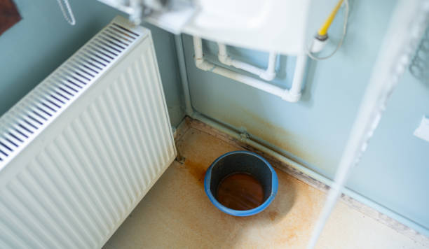 Best 24-hour water damage restoration  in Colchester, IL