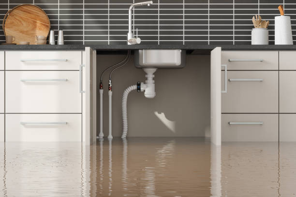 Best Mold removal after water damage  in Colchester, IL