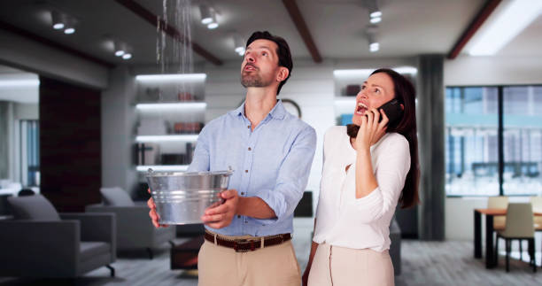 Best Carpet water damage restoration  in Colchester, IL