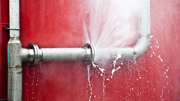Best Professional water damage repair  in Colchester, IL